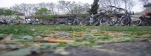 Vélorution du 29 mars : A la veille des élections, les cyclistes donnent de la voix!